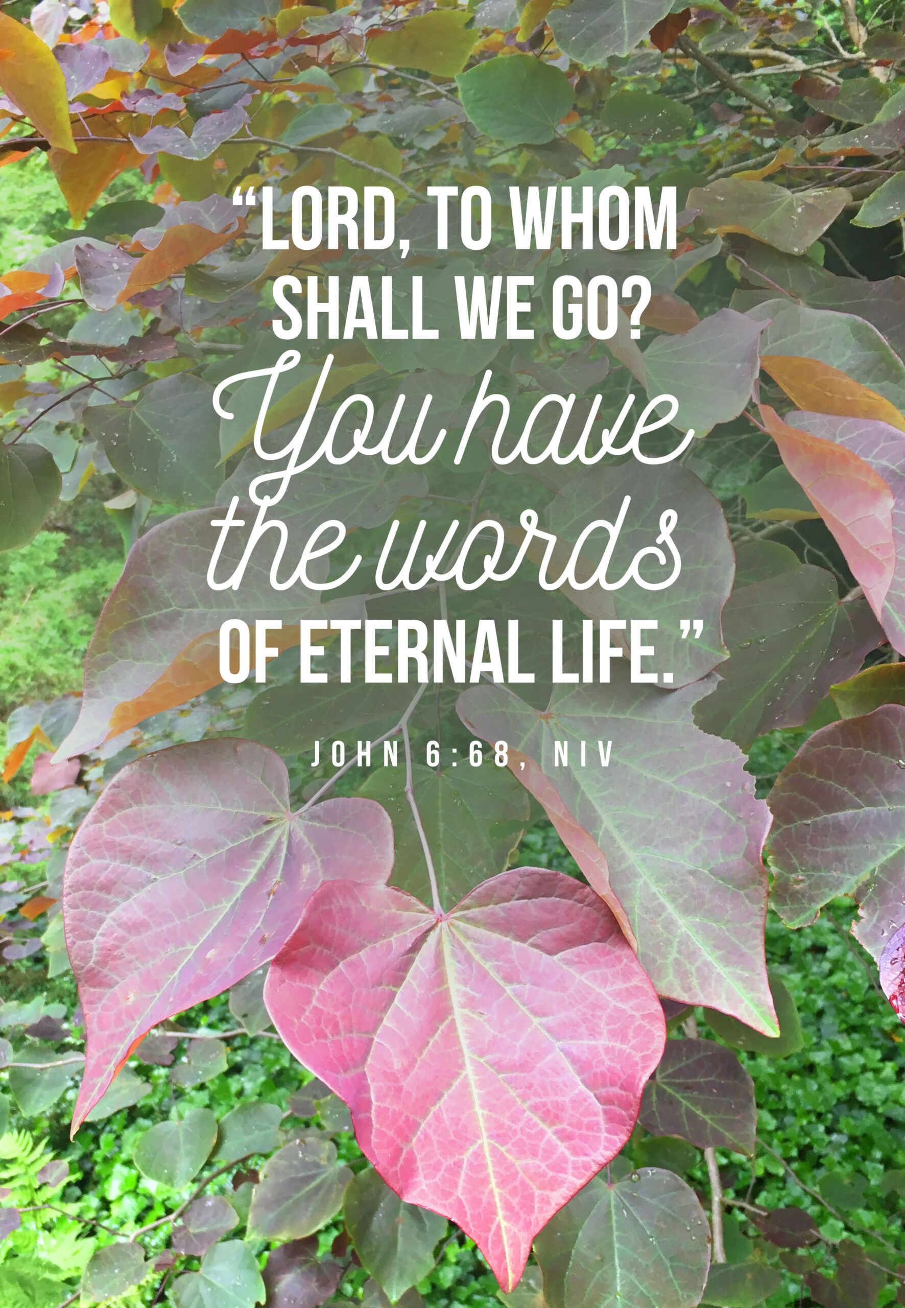 To Whom Will You Go? Jesus Is Eternal Life!