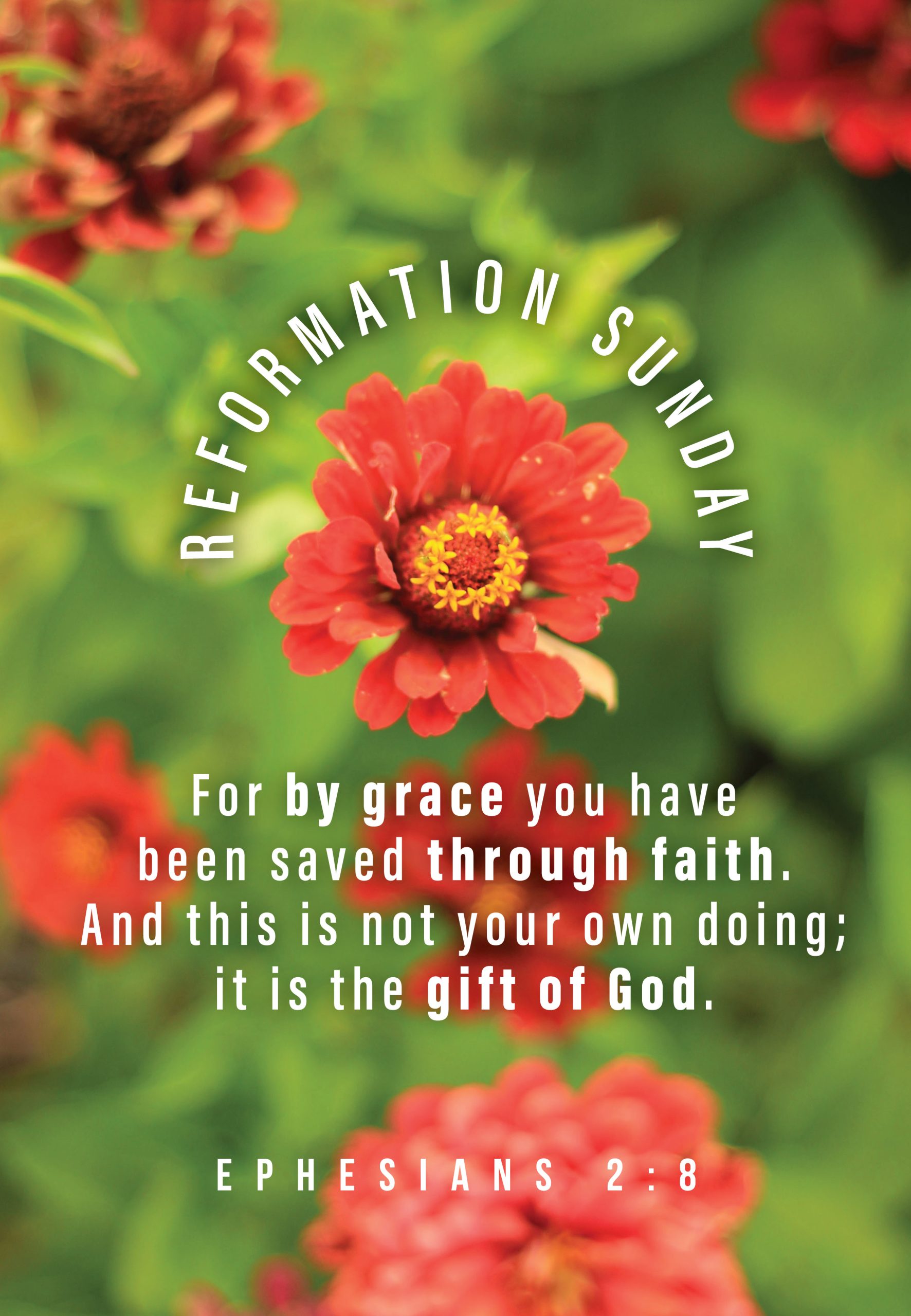 Stand Firm on the Freedom of the Gospel!