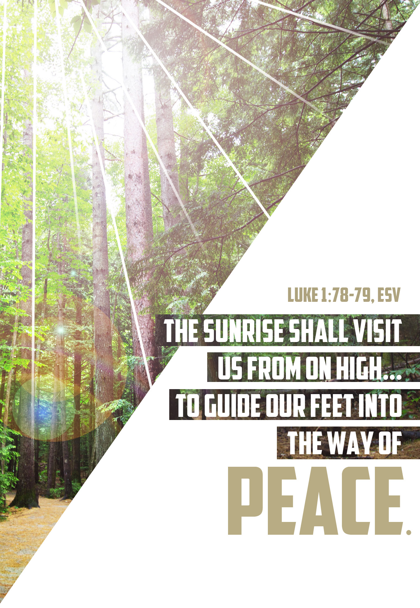 The Song of Zechariah: Amazing Gift!