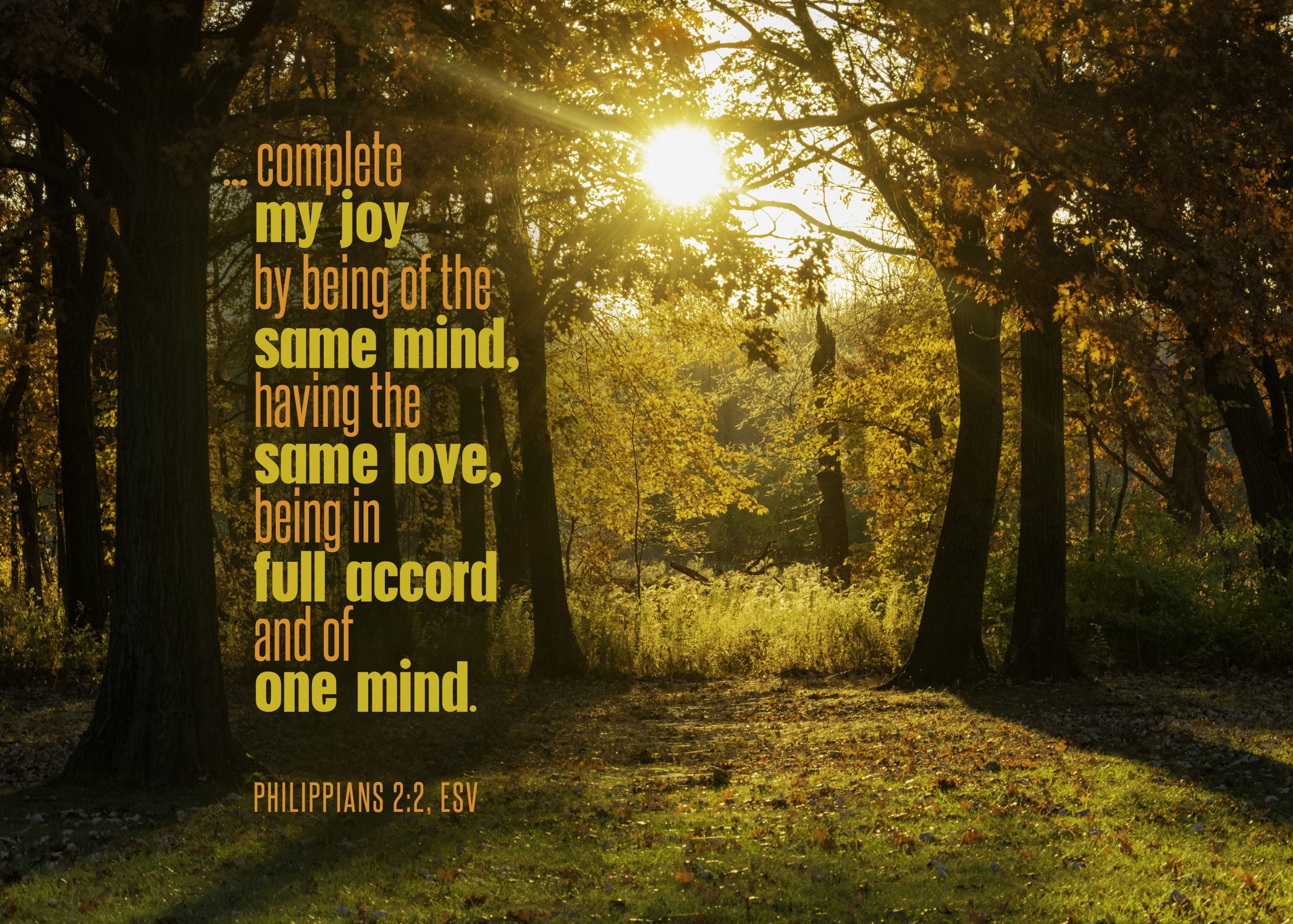 Do You Understand God?