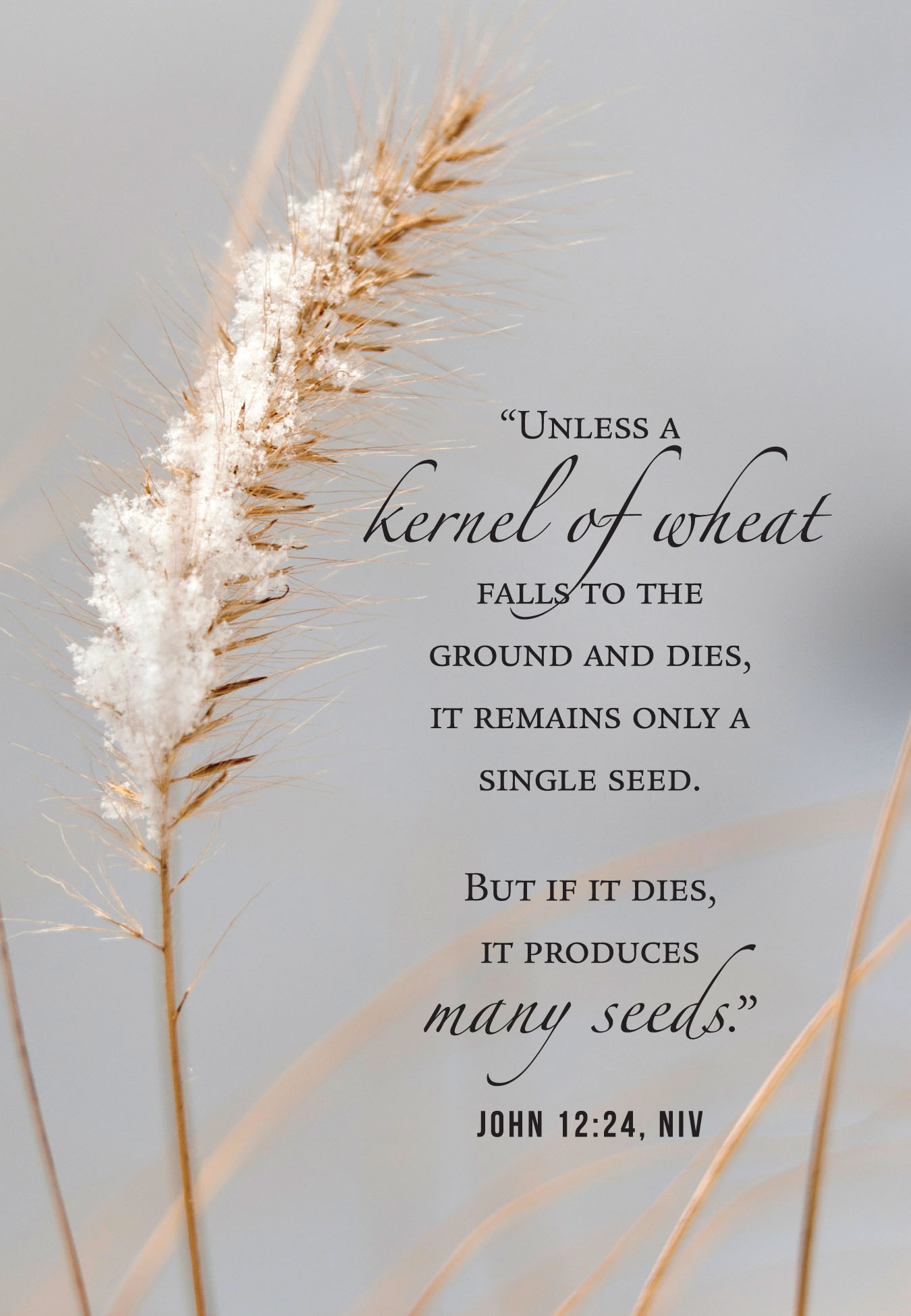 “Sir, We Would See Jesus!”